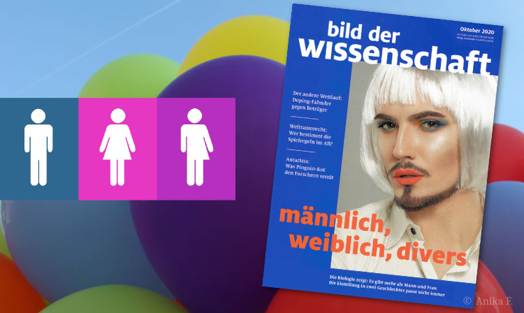 Männlich, Weiblich, Divers